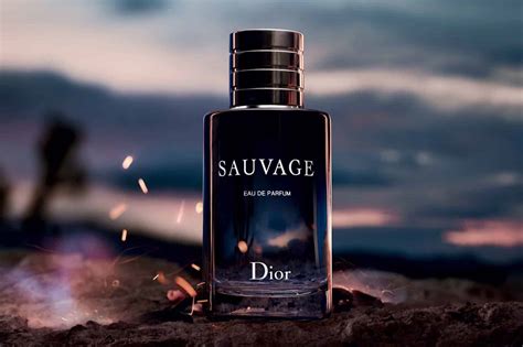 sauvage dior smell|which Dior Sauvage is best.